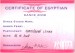Certifikát Egyptian Dance Ahmed Fekry 2008